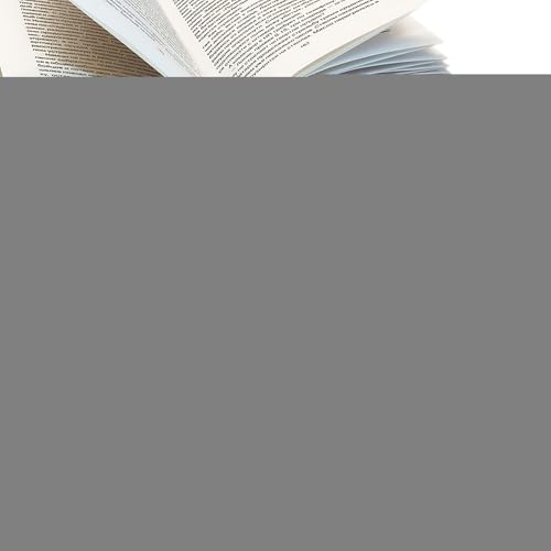 Bomefoi Schulmäppchen, Schulbedarf Organizer Für Stifte Und Zubehör, Federmappe Halter für Büro Basteln Unterricht Schüler Jugendliche Kunst Reisen von Bomefoi