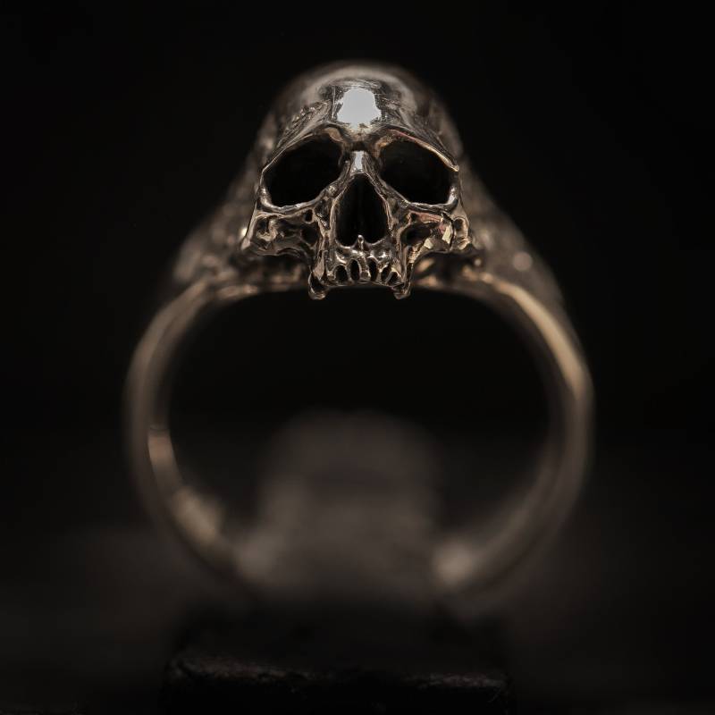 Kleiner Fauler Halbkiefer | Poliert von BookofAlchemy