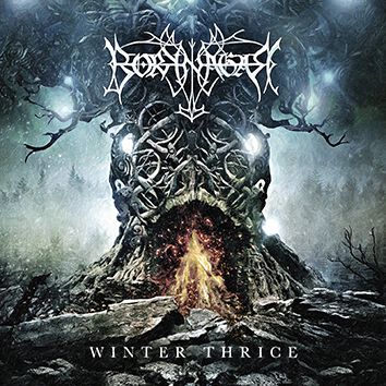 Borknagar Winter thrice CD multicolor von Borknagar