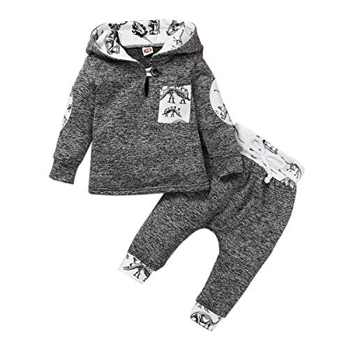 Borlai Baby Jungen Hoodie Hosen und Oberteile Outfits Kleidung Sets Art und Weise reizende Sweatshirt Geschenke Sets, 0-36 Monate, 2 Stück von Borlai