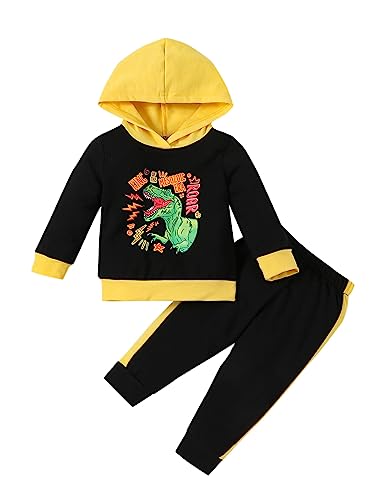 Borlai Babykleidung Set Baby Jungen Trainingsanzug Langarm Kapuzenpullover mit Jogginghose Kinder Jungen Kleidung Outfit Set von Borlai