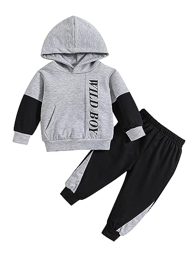 Borlai Kinder Baby Junge Kapuzenkleidung Set Dinosaurier Brief Sweatshirt Pullover Camouflage Hose Trainingsanzug Set von Borlai