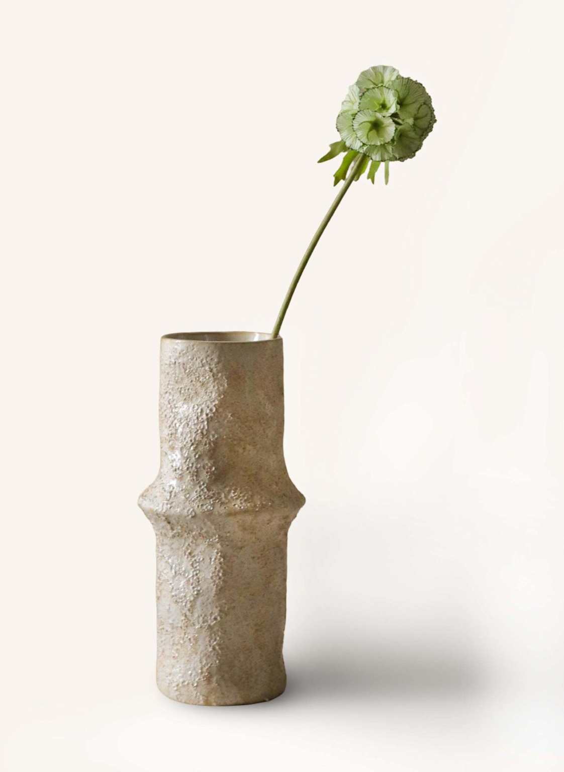 Botané Kunstblume Scabiosa Seed Pod Flower gruen von Botané