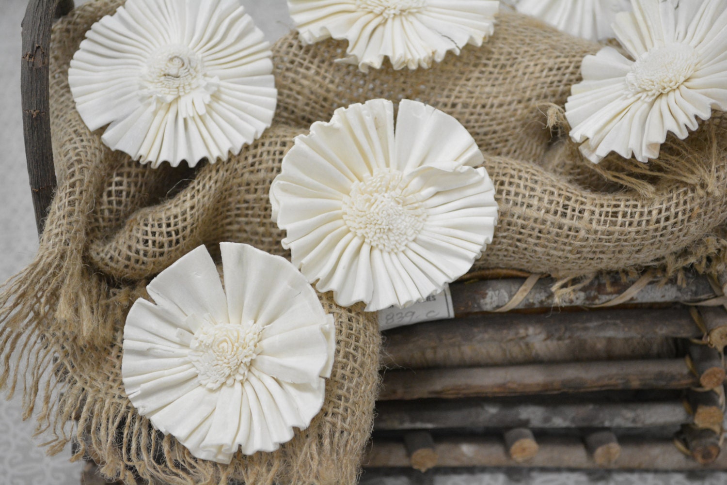 Sola Mond Blume - 12 Pk Holz Blume, Blumenkunst, Hochzeit Arrangements, Blumenstrauß Sola Mond Blume - 12 Pk Holz Blume, Blumenkunst, Hochzeit Arrangements, Blumenstrauß von BotanicalMelange