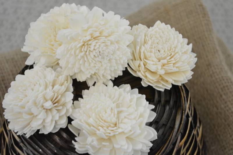 Sola Zinnia - 12 Pk Holz Blume, Blumenkunst, Hochzeit Arrangements, Blumenstrauß Sola Zinnia - 12 Pk Holz Blume, Blumenkunst, Hochzeit Arrangements, Blumenstrauß von BotanicalMelange