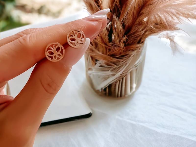 Ohrstecker Schmetterling Im Kreis Silber Roségold Gold von Brabiis
