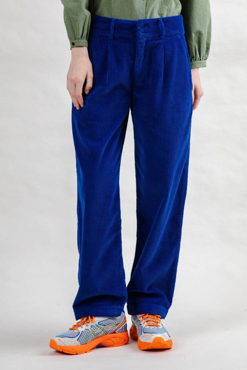 Hose Pleated Cord von Brava Fabrics