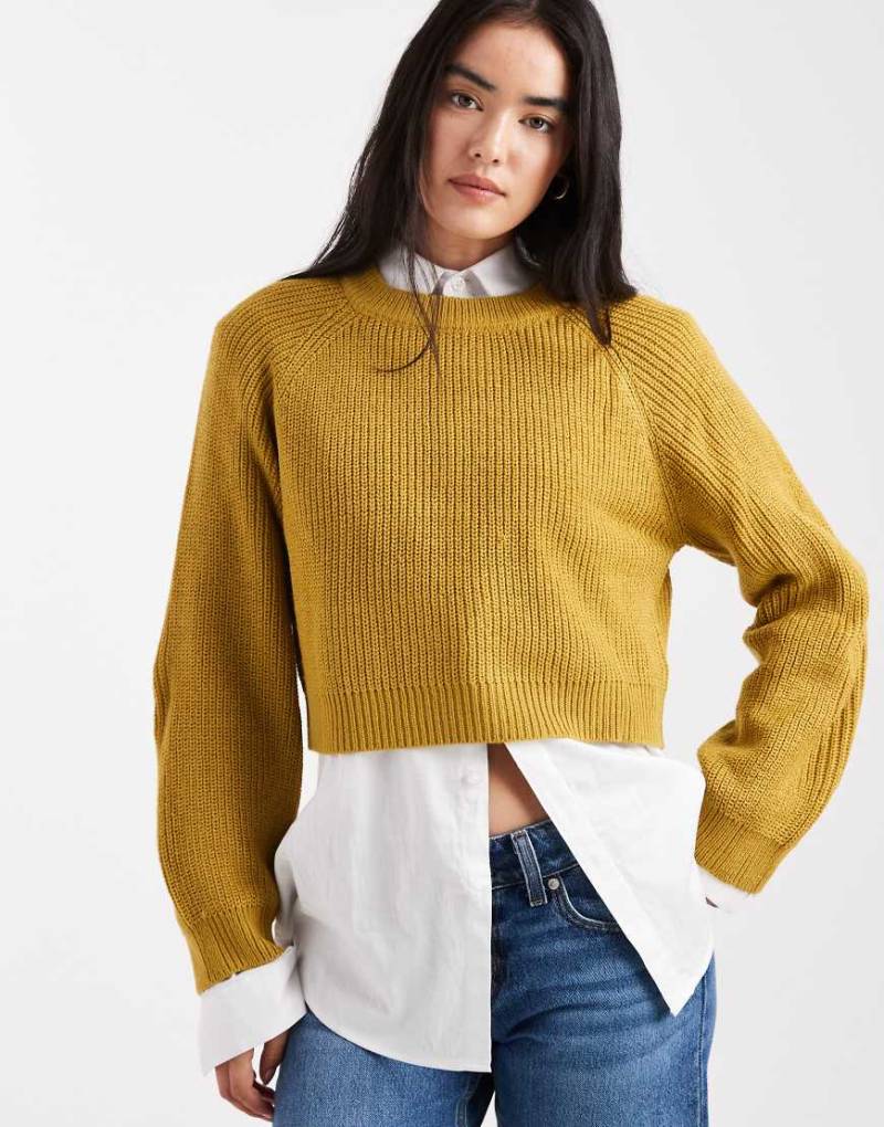 Brave Soul - Cropped-Strickpullover in Olivgrün mit Rundhalsausschnitt von Brave Soul