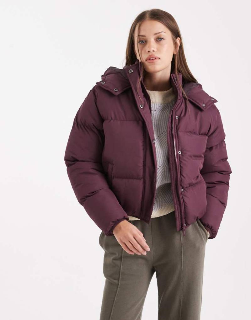 Brave Soul - Steppjacke in Feige mit Kapuze-Rot von Brave Soul