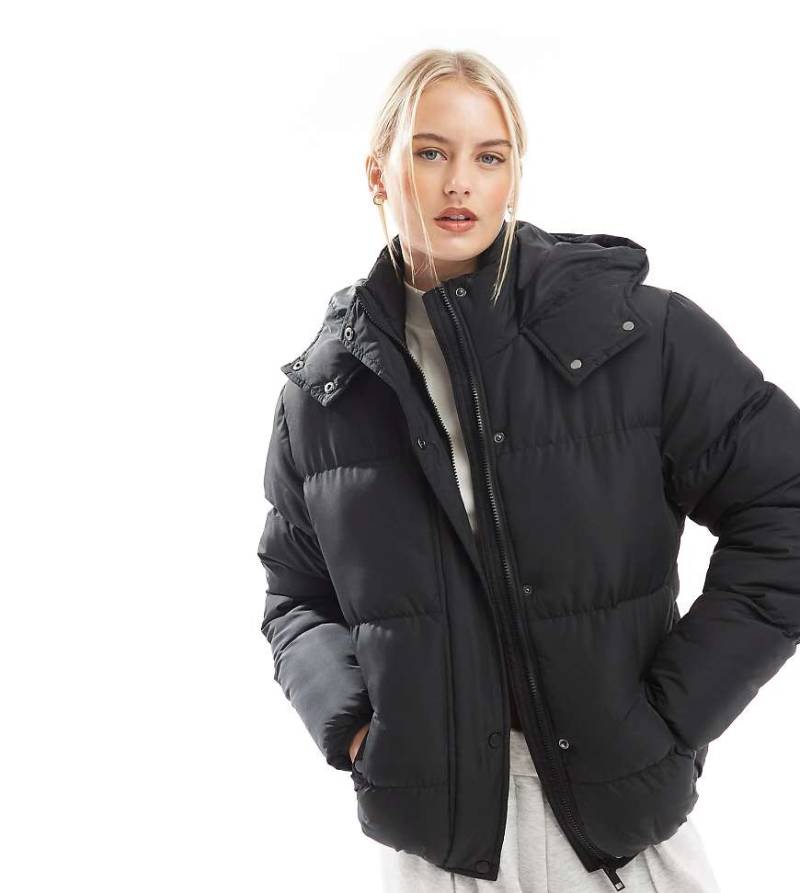 Brave Soul Tall - Bunny - Steppjacke in Schwarz mit Kapuze von Brave Soul