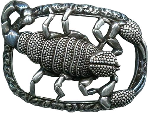 Gürtelschnalle Skorpion 2,5cm | Buckle Wechselschließe Gürtelschließe 25mm Massiv | Für Wechselgürtel bis 2.5cm Breite | Silber von Brazil Lederwaren