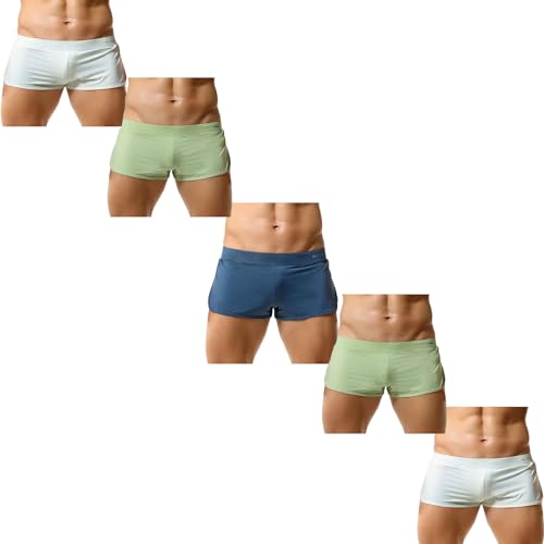 BreakEgg Herren Strands Horts-atmungsaktiv Schnell Trocknend Und Mit Maschen Ausgekleidet, Innen Jockstrap-Unterstützung, 5 Stück (2 Weiß 2 Grün Blau,L) von BreakEgg