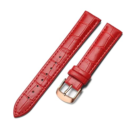 Breyhda Klassisches Uhrenarmband aus Leder – 14–24 mm, Ersatzband für Herren-/Damenuhren,22mm Breyhda Klassisches Uhrenarmband aus Leder – 14–24 mm, Ersatzband für Herren-/Damenuhren,22mm von Breyhda
