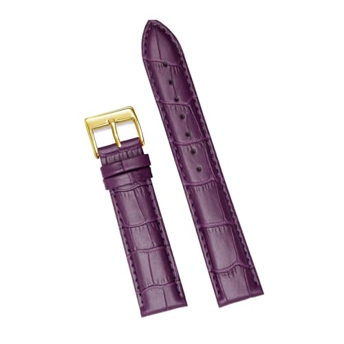 Breyhda Lederarmband-Set für Uhren – 12–24 mm Ersatzband mit Dornschließe/Wechselwerkzeug,12mm Breyhda Lederarmband-Set für Uhren – 12–24 mm Ersatzband mit Dornschließe/Wechselwerkzeug,12mm von Breyhda