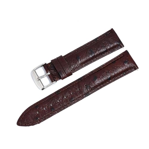 Breyhda Uhrenarmband aus Leder mit Straußenmuster – 18–22 mm, Ersatzarmband mit Schnellverschluss,Braun,22mm Breyhda Uhrenarmband aus Leder mit Straußenmuster – 18–22 mm, Ersatzarmband mit Schnellverschluss,Braun,22mm von Breyhda