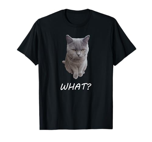 Britisch Kurzhaar Katze Katzenmotiv Damen Miau T-Shirt von Britisch Kurzhaar Katzen Motiv Kätzchen Liebhaber