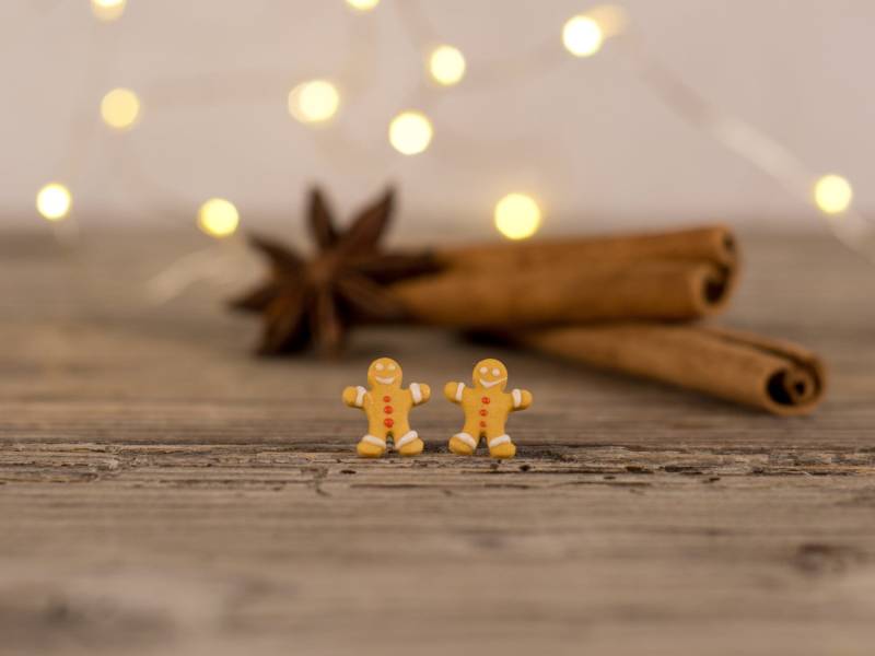 Lebkuchen Mann Ohrringe, Weihnachten Ohrstecker, Weihnachtsschmuck, Lustige Weihnachtsgeschenk, Einzigartige Süße Ohrringe von Brlogarka