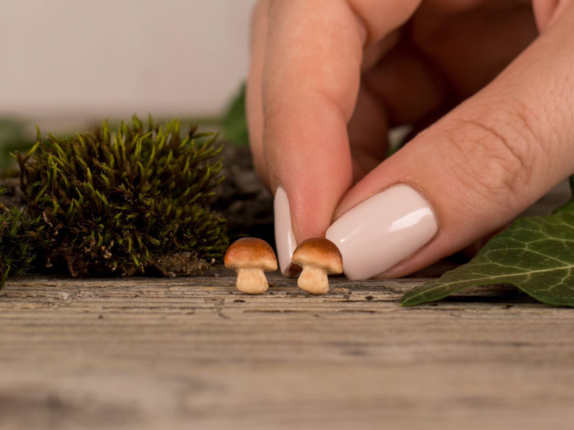 Pilz Ohrringe, Fimo Pilz, Lustiges Essen Titanium Einzigartige Ohrringe Pilz Ohrringe, Fimo Pilz, Lustiges Essen Titanium Einzigartige Ohrringe von Brlogarka