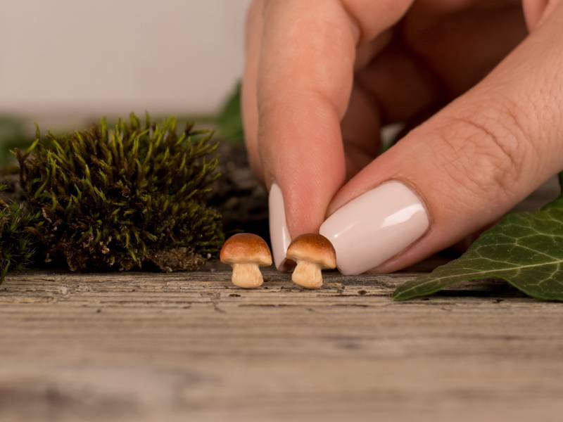 Pilz Ohrringe, Fimo Pilz, Lustiges Essen Titanium Einzigartige Ohrringe Pilz Ohrringe, Fimo Pilz, Lustiges Essen Titanium Einzigartige Ohrringe von Brlogarka