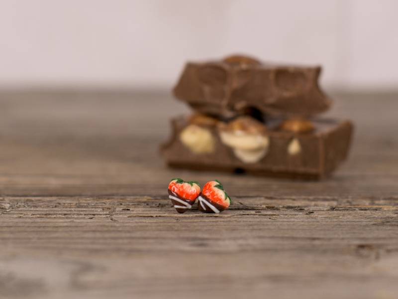 Schokolade Und Sahne Erdbeer Ohrstecker, Geschenke, Erdbeere Mit Schokolade, Titan Ohrringe, Einzigartige Ohrringe von Brlogarka