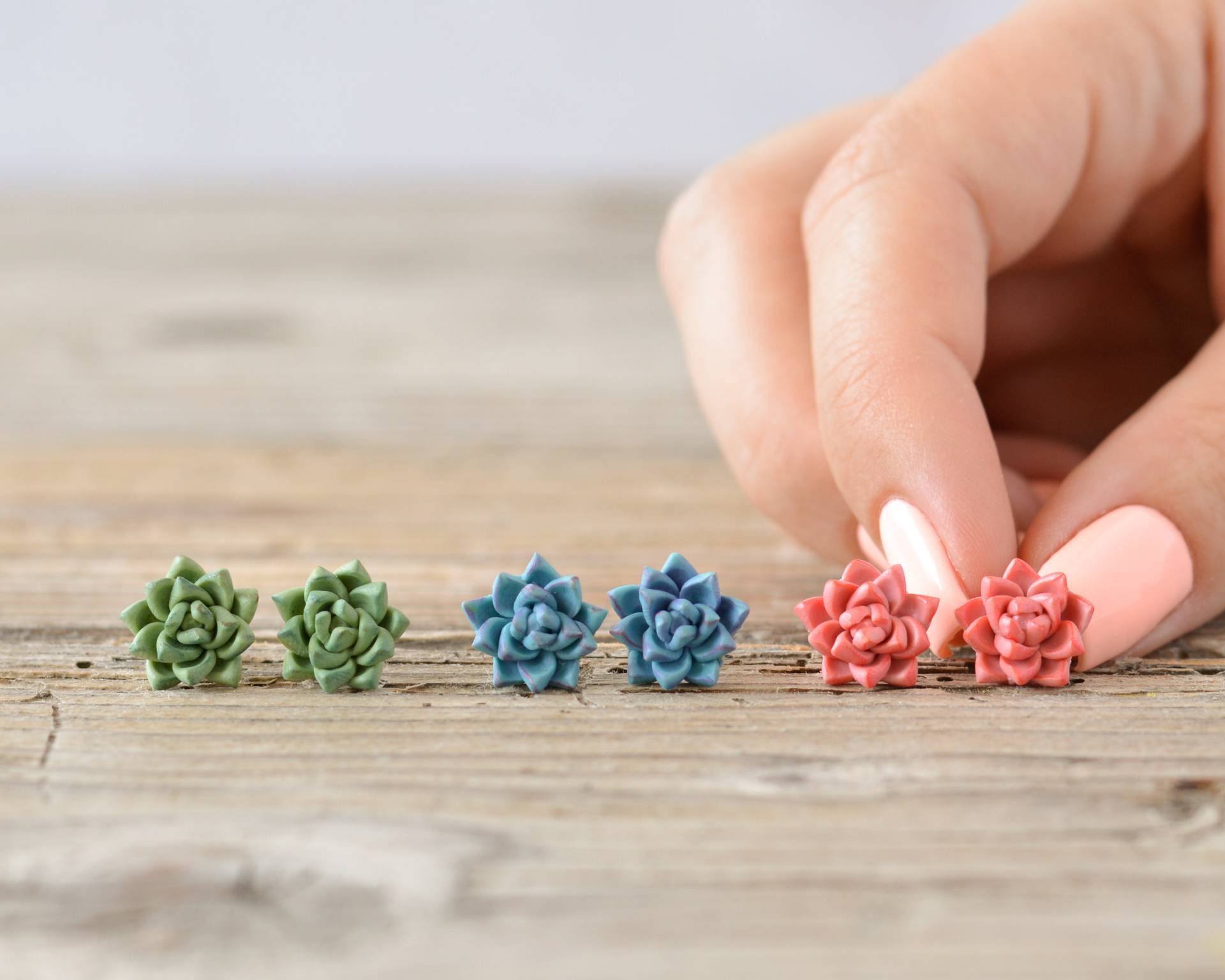 Sukkulenten Blumen Ohrstecker, Geschenkideen, Titan Ohrringe, Einzigartige Funky Coole Ohrringe Sukkulenten Blumen Ohrstecker, Geschenkideen, Titan Ohrringe, Einzigartige Funky Coole Ohrringe von Brlogarka