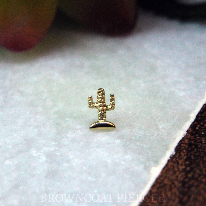 Junipurr Solid 14K Gelbgold Cactus Threadless End von BrowncoatPiercer