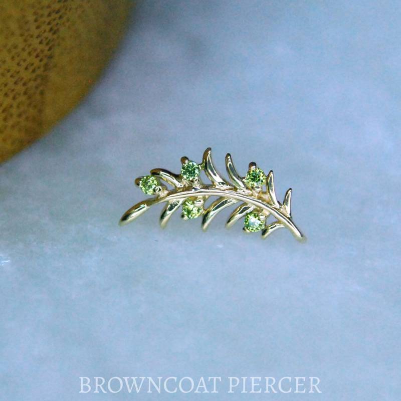 Junipurr Solid 14K Gelbgold Olivenzweig Threadless End von BrowncoatPiercer