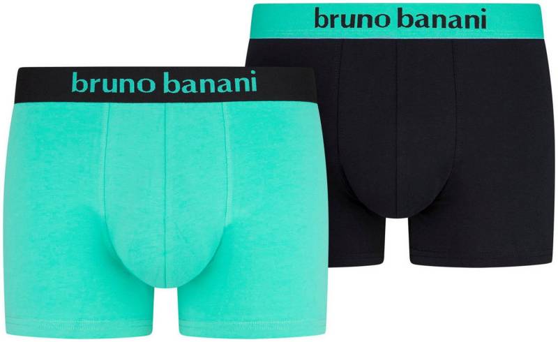 Bruno Banani Boxer (2er Pack) mit kontrastreichem Logobund von Bruno Banani