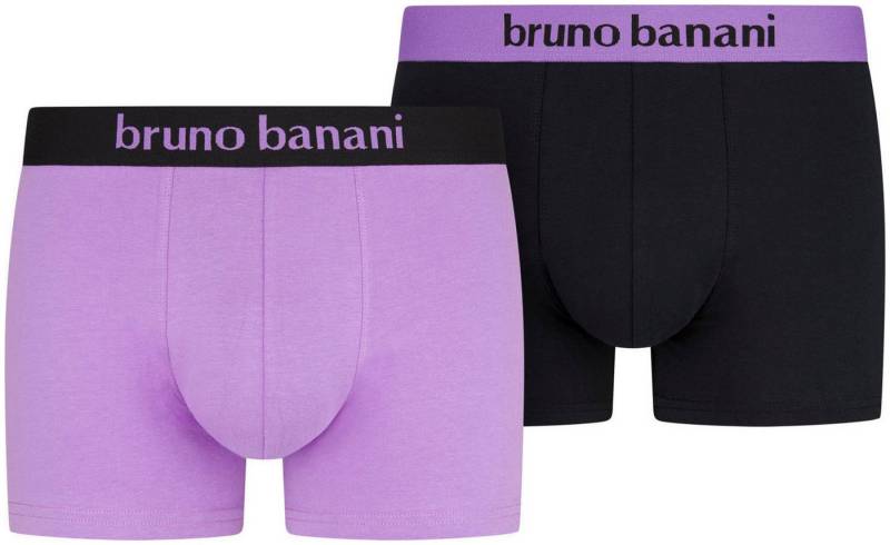 Bruno Banani Boxer (2er Pack) mit kontrastreichem Logobund von Bruno Banani