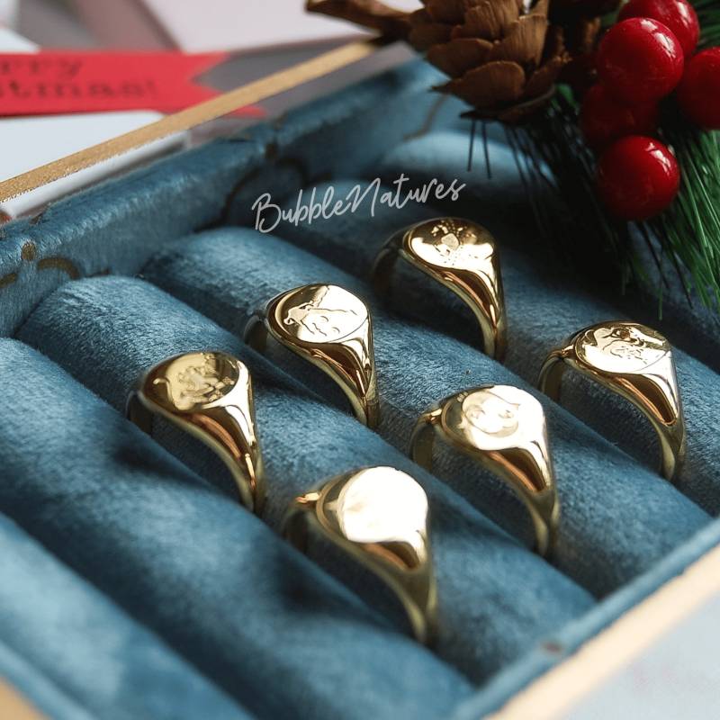 Personalisierter Siegelring 18K Vergoldet Personalisierter Siegelring 18K Vergoldet von Bubblenatures