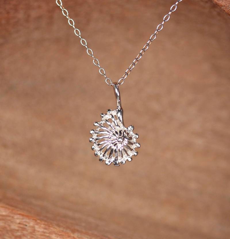 Ammonite Halskette, Infinity Spiral Shell Anhänger, Sterling Silber Kette von BubuRuby