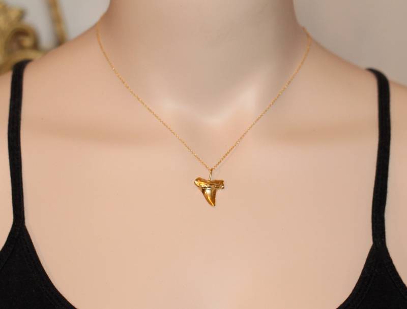 Ein 14K Gold Vermeil Haizahn Anhänger An Einer Gold Fill Kette Ein 14K Gold Vermeil Haizahn Anhänger An Einer Gold Fill Kette von BubuRuby