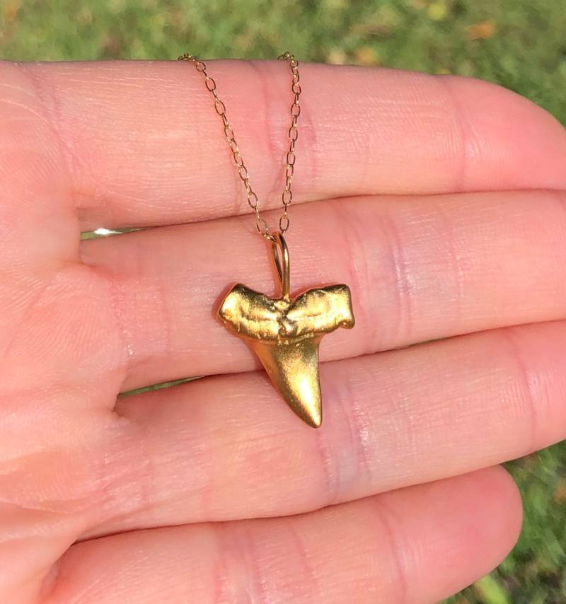 Haizahn Halskette, Gold Hai Zahn Anhänger, Strand Ein 14K Vergoldeter Sterling Silber An Einer Gold Filled Kette Haizahn Halskette, Gold Hai Zahn Anhänger, Strand Ein 14K Vergoldeter Sterling Silber An Einer Gold Filled Kette von BubuRuby