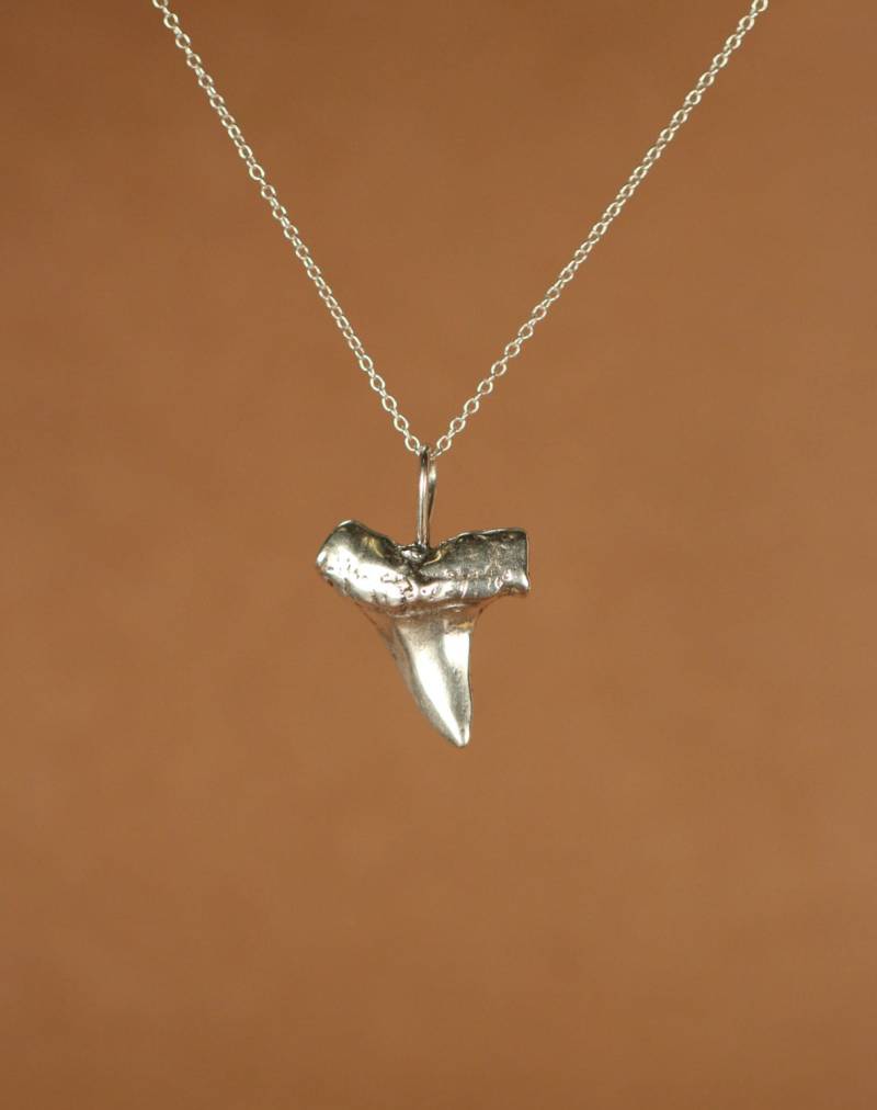 Haizahn Kette - Silber Ein Massiver Haifischzahn Aus Sterlingsilber An Einer Oder 14K Gold Vermeil Haizahn Kette - Silber Ein Massiver Haifischzahn Aus Sterlingsilber An Einer Oder 14K Gold Vermeil von BubuRuby