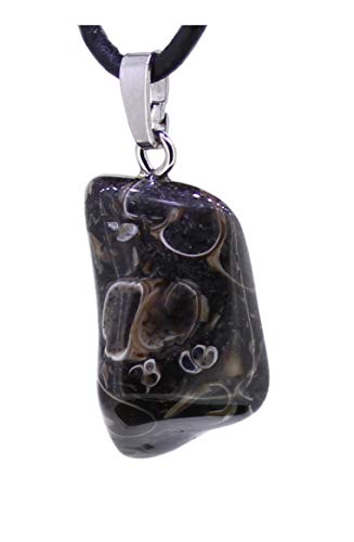 Budawi® Turitellaachat Edelstein Trommelstein Anhänger Ketten Schmuck 925er Silber Öse von Budawi