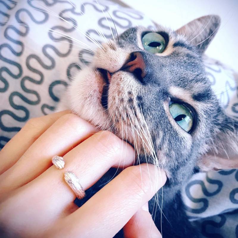 Hug Meow Katze Sterling Silber Ring von BuddingJewelry