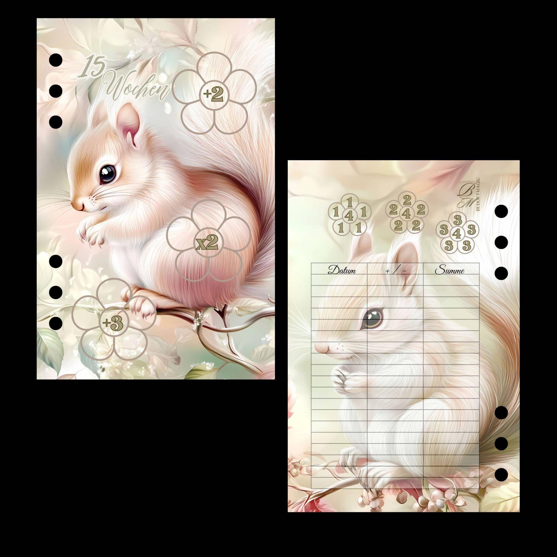 15 Wochen Eichhörnchen von BudgetMagic