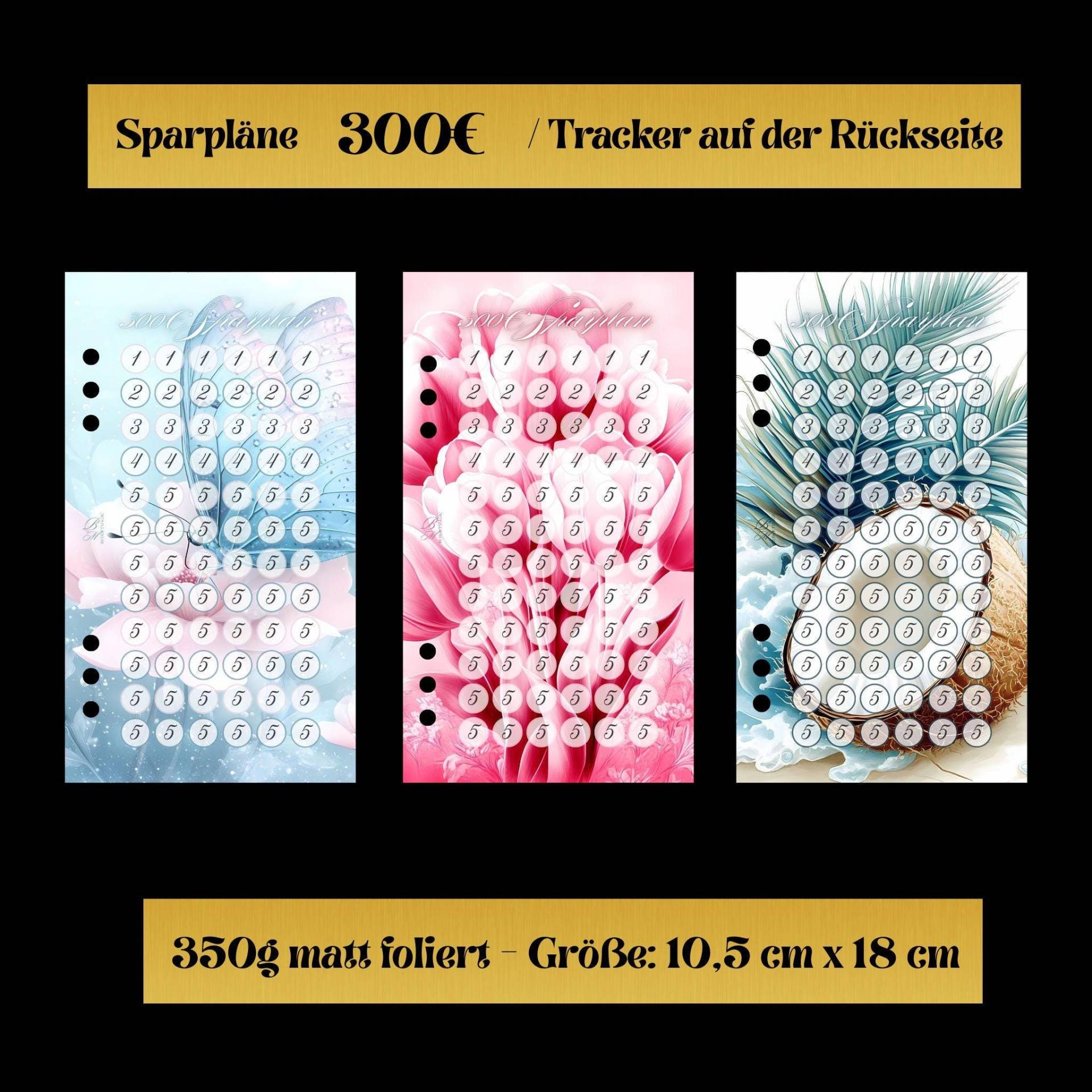 Sparpläne 300 Euro von BudgetMagic