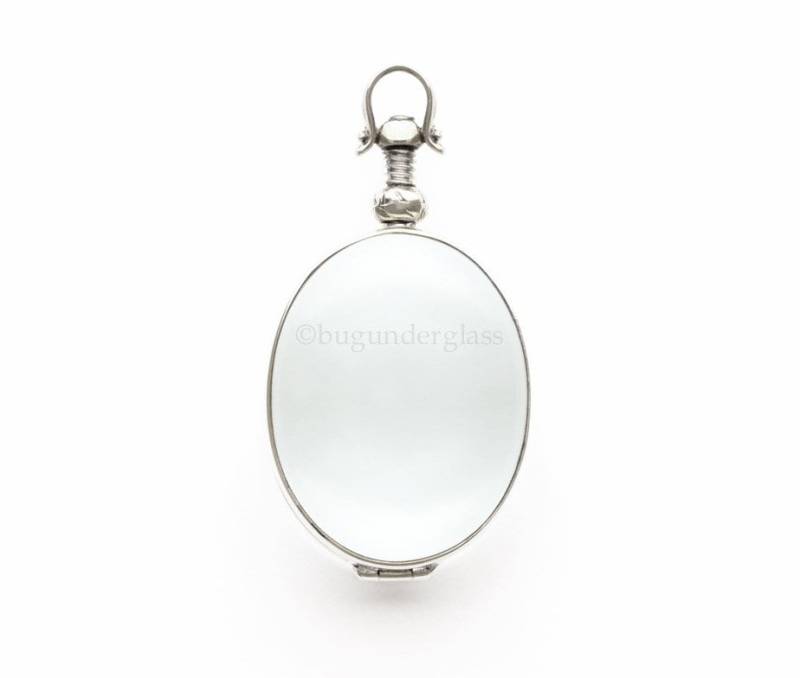 Oval Glas Medaillon Sterling Silber Bild # 5 von BugUnderGlass