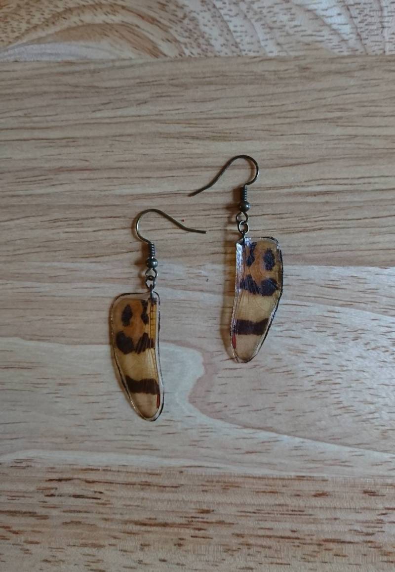 Libelle Flügel Ohrringe. Halloween Wimpel Libelle von BugsNBotany