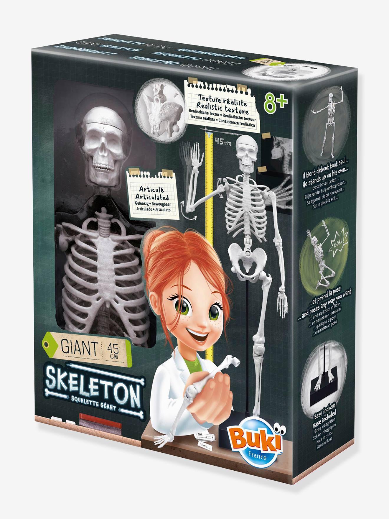 Kinder Anatomie-Skelett BUKI von Buki