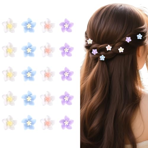 Bumlofa 20 Stück kleine, mehrfarbige Mini-Blumen-Haarspangen, süße Blumen-Haarspangen für Damen, Dekoration für Hochzeiten und Brautkleider von Bumlofa