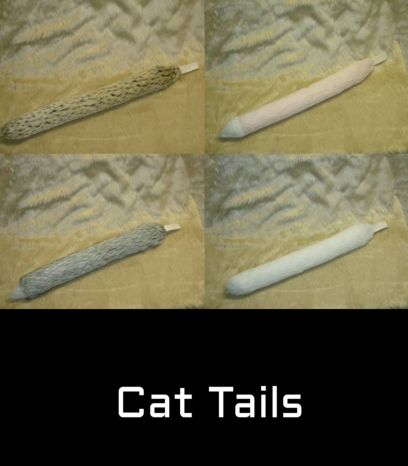 Katzenschwänzchen Katzenschwänzchen von Bunneah