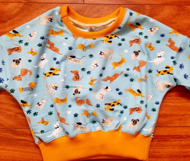 Kinder Langarmpullover Jersey Mit Elasthan, Gr. 74, Lustige Hundemotive, Hellblau Kinder Langarmpullover Jersey Mit Elasthan, Gr. 74, Lustige Hundemotive, Hellblau von BunteFaedenbyCarola