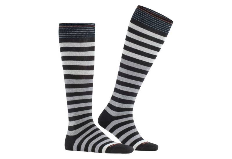 Burlington Freizeitsocken Burlington Herren Kniestrümpfe Blackpool 21783 von Burlington