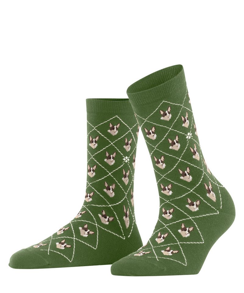 Burlington Socken Corgi (1-Paar) mit Argyle-Muster & All-Over Motiven von Burlington