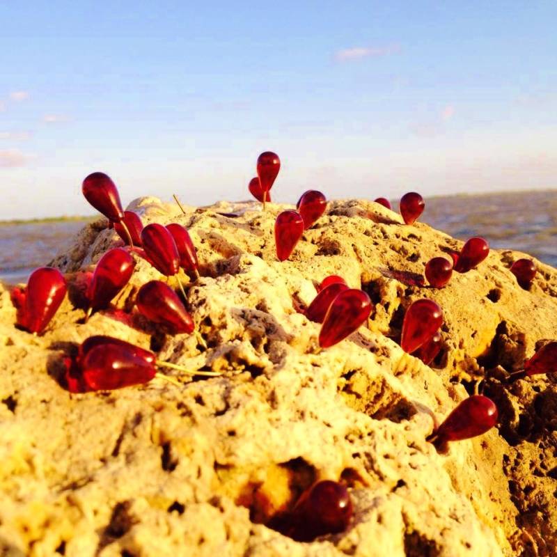 15 Stück Vintage Rote Glasanhänger Messingdraht Mit Eingebetteten Tropfen von BuyAFairytale