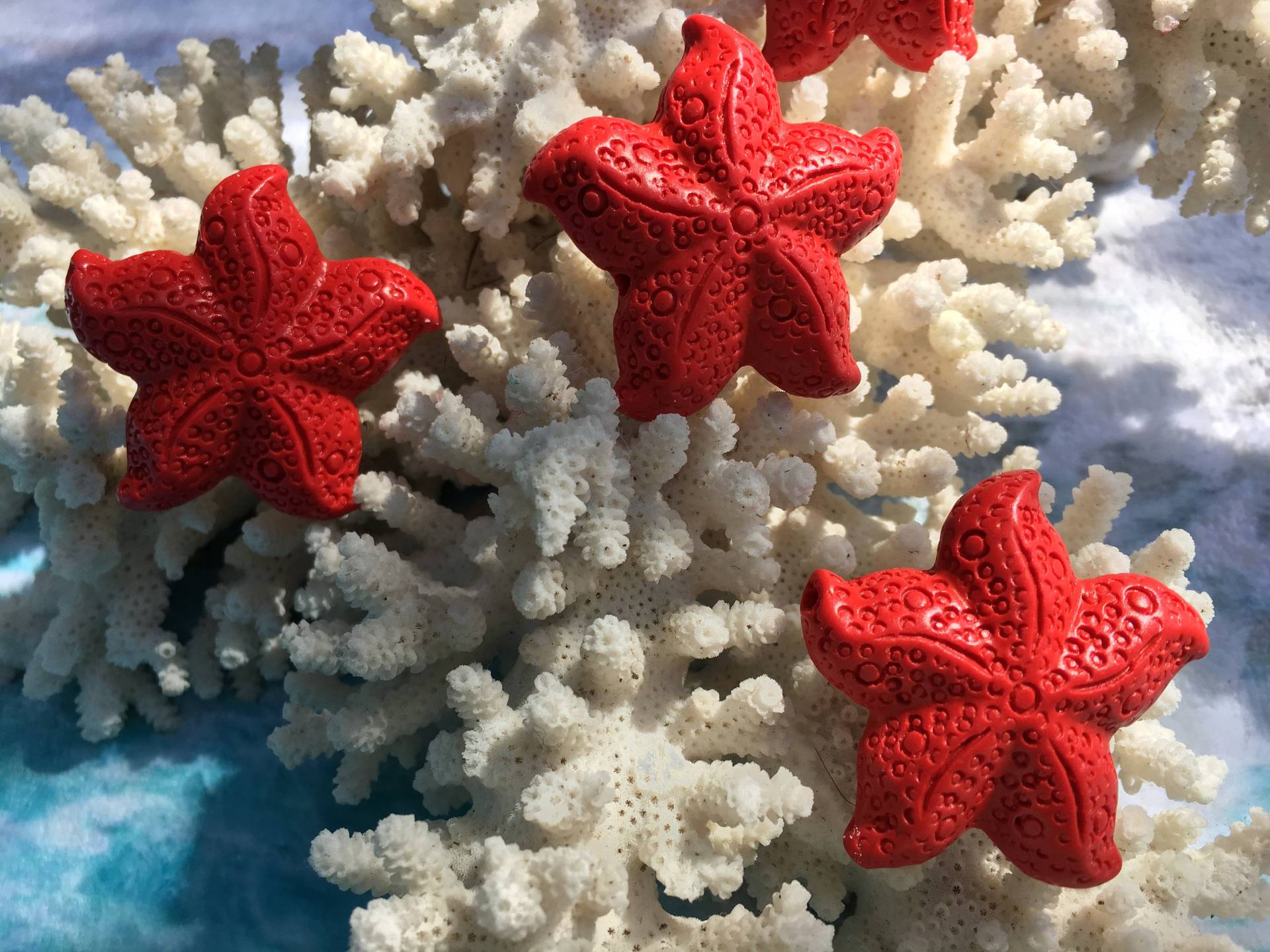 2 Stück Roter Zinnober-Seestern Anhänger Strand-Thema Perlen | 39X42.5 X 14 Mm von BuyAFairytale