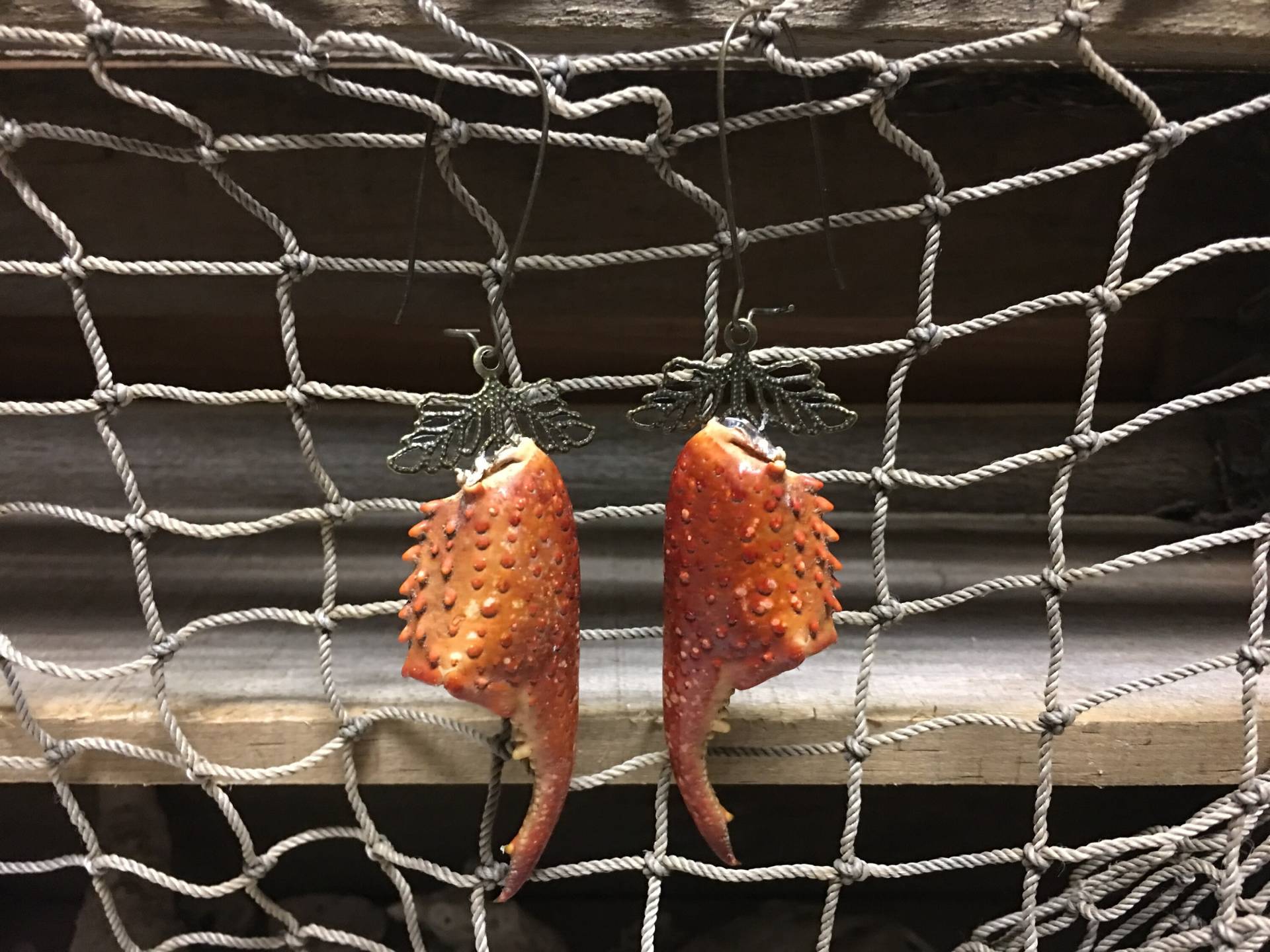 Echte Krebsfisch Klauen Ohrringe Wilder Cajun Style Schmuck von BuyAFairytale