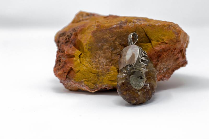 Ammonit Anhänger Ammonit Anhänger von ByHeads4Heads